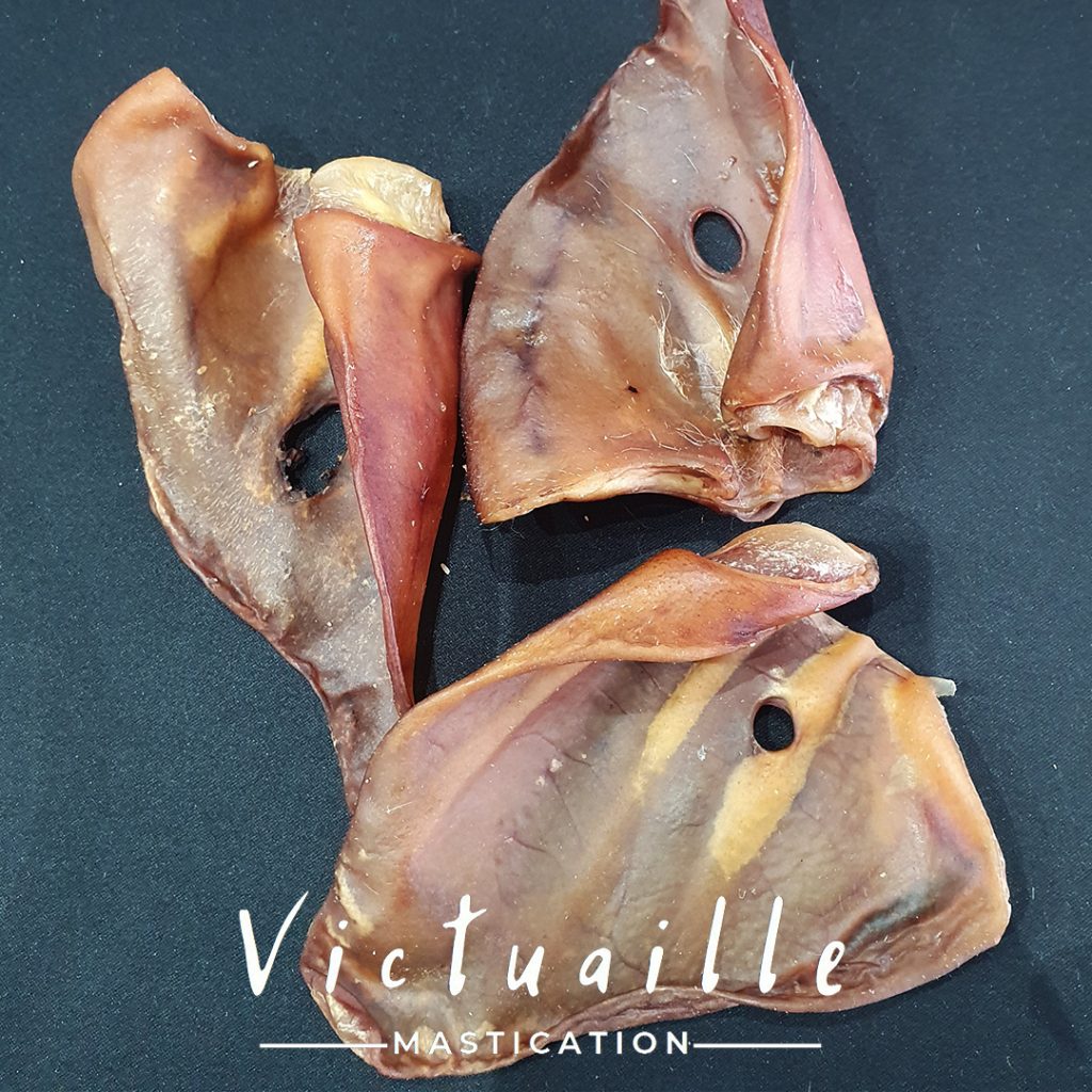 Oreille de Porc Mastication naturelle Box Mastication