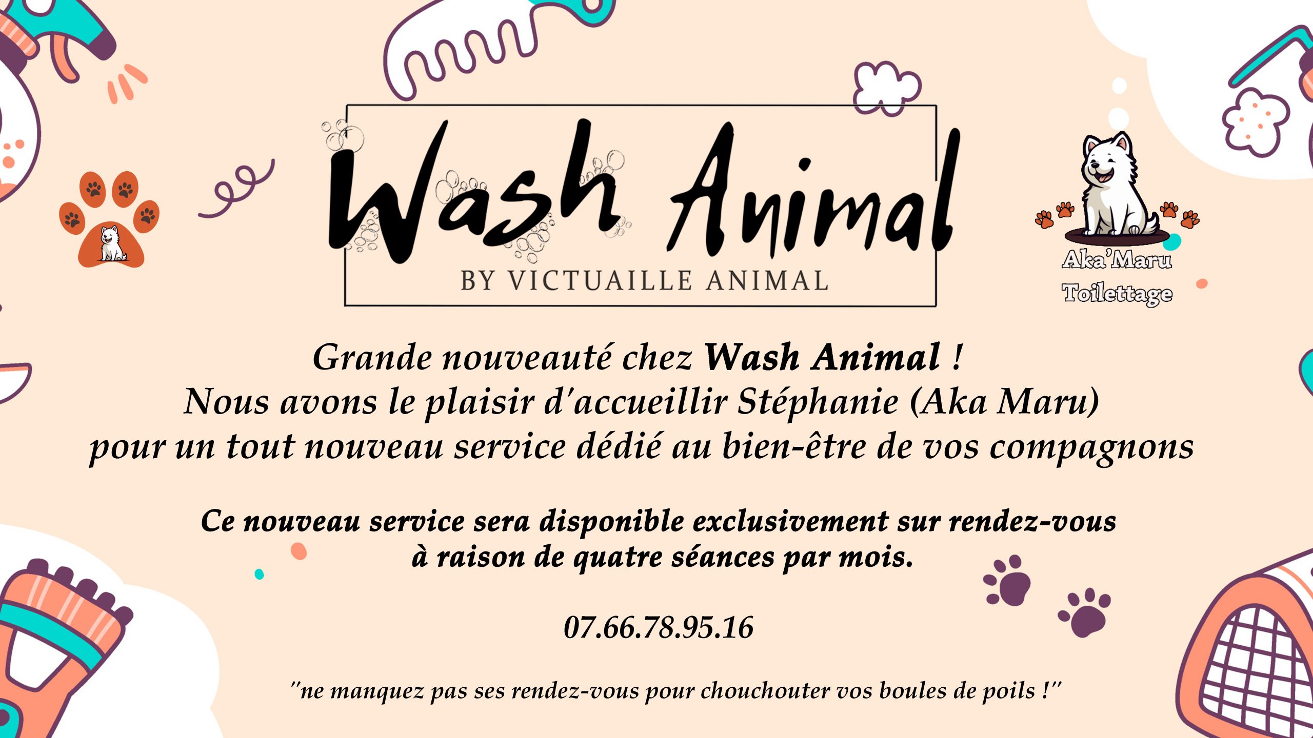 Wash Animal Aka Maru toilettage toiletteur Lavelanet Mirepoix Ariege 
